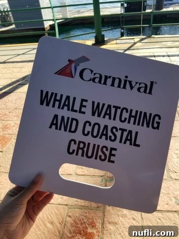 Cruise excursion sign for Whale Watching and Coastal Cruise in Cabo San Lucas, prominently displayed.