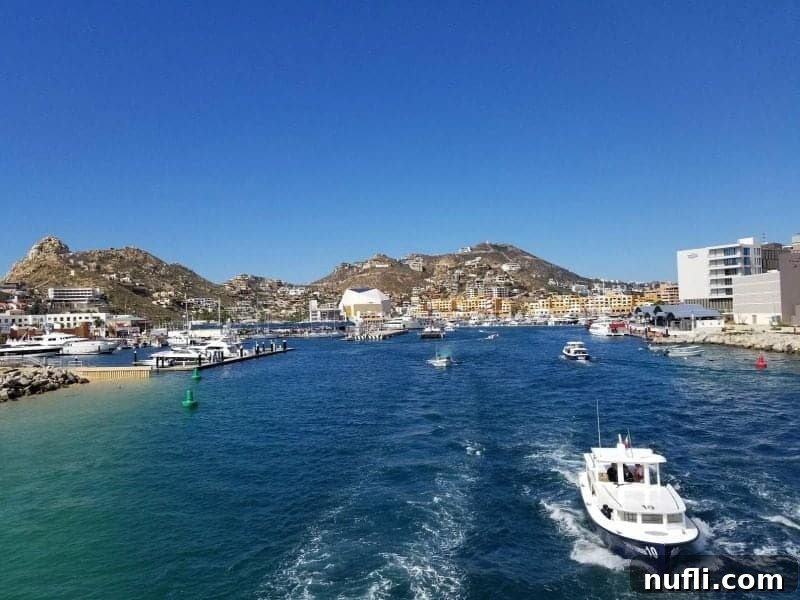 Panoramic view of the vibrant Cabo San Lucas marina, dotted with luxury yachts and hotels.