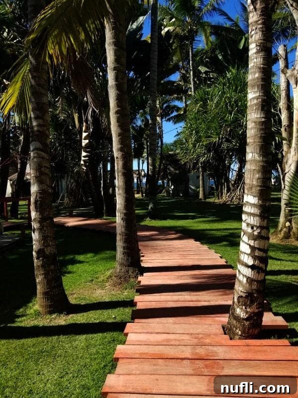 Luscious Melon Martini 4 wooden boardwalk through palm trees