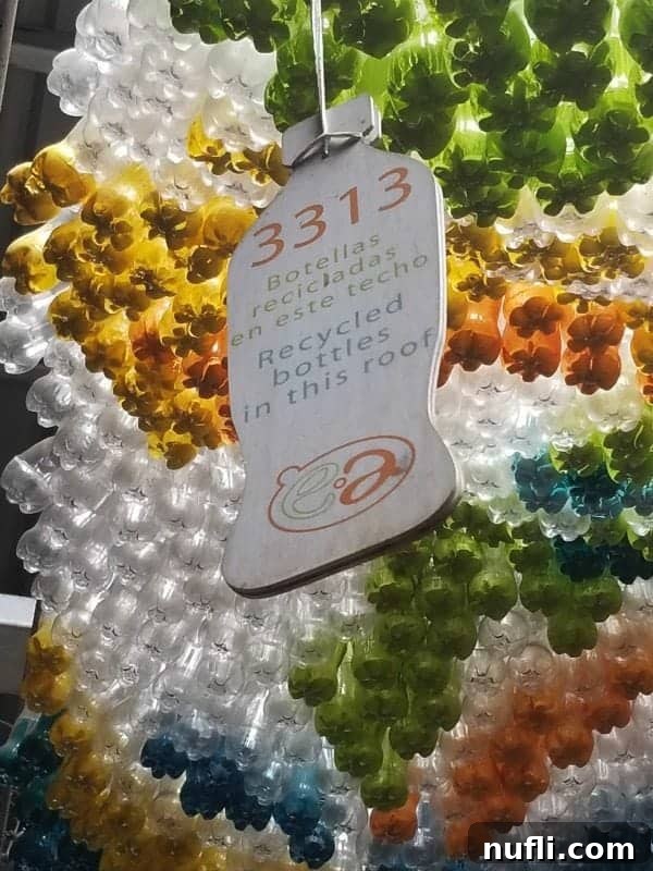 3313 recycled bottles sign with bottles overhead 