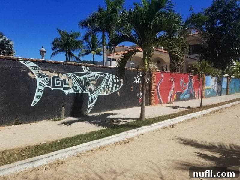 murals of a shark on the side of a wall 