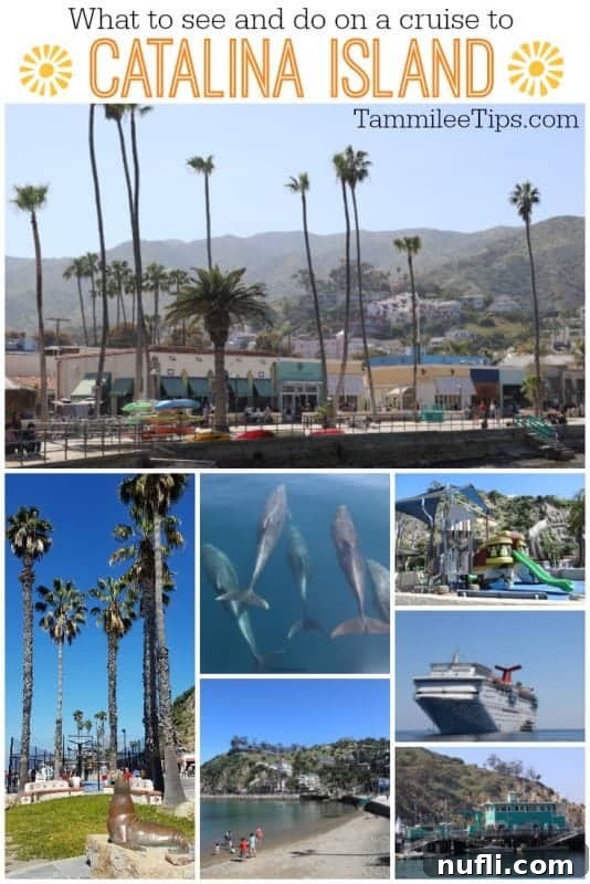 A vibrant collage of photos showcasing Catalina Island's beauty, including the harbor, the casino building, and playful dolphins, offering a glimpse into what to see and do on a cruise visit.