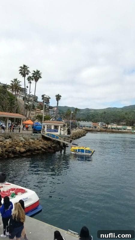 A panoramic view of Catalina Island's picturesque harbor, featuring numerous boats gently swaying in the water, vibrant palm trees lining the shore, and the charming town buildings in the background.