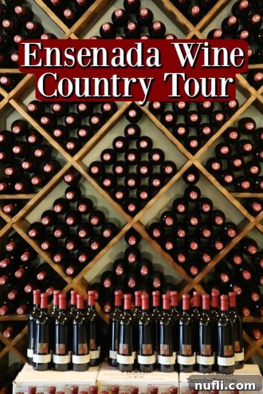 Ensenada wine country tour over bottles of wine