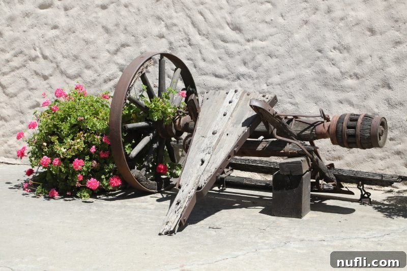 old wooden wine equipment with a wagon wheel and flowers