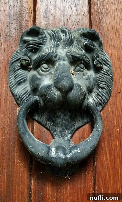 Lion door knocker 