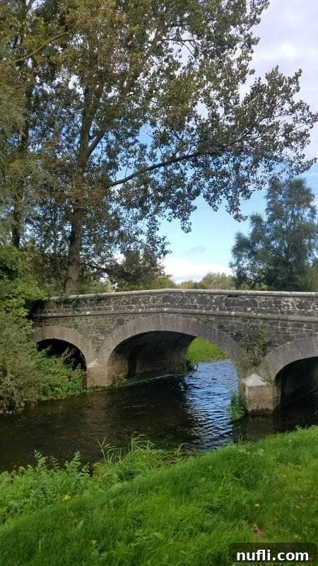 stone bridge over a river with trees all around 