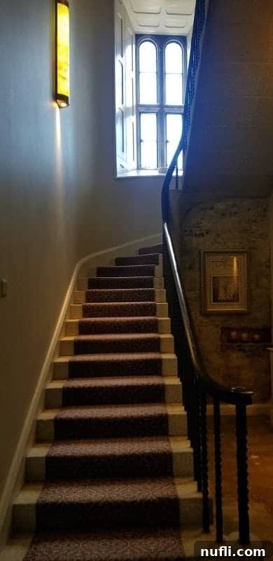 stairs inside the castle with a window 