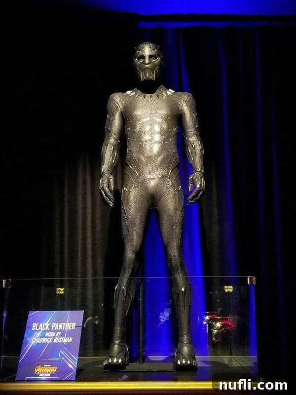 The sleek and Vibranium-enhanced Black Panther costume, famously worn by Chadwick Boseman, embodying Wakanda's protector.