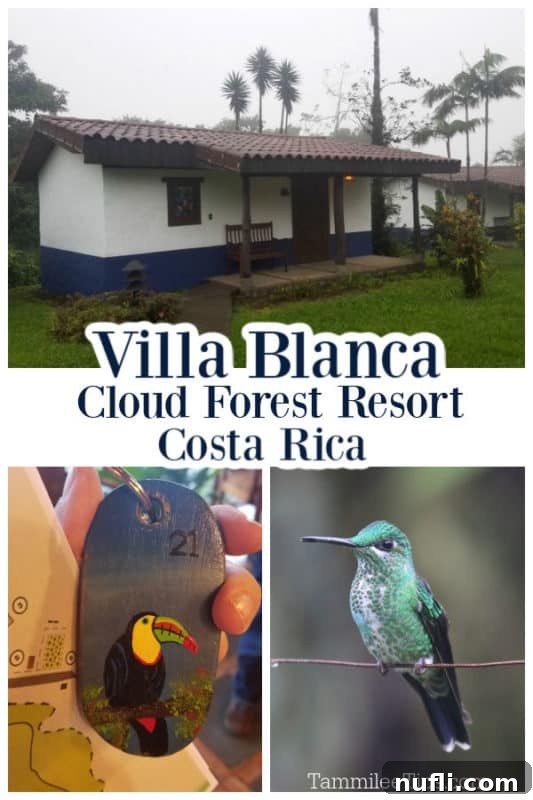 A serene view of Villa Blanca Cloud Forest Resort nestled amidst the lush greenery, with soft clouds enveloping the mountainous landscape.