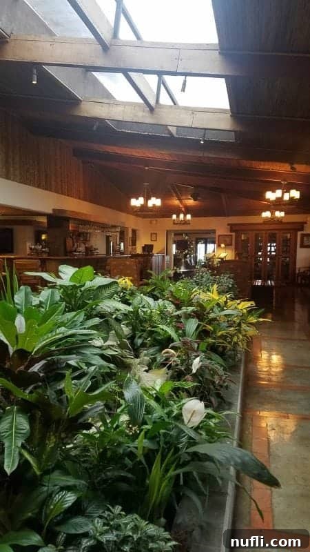 The grand lobby of Villa Blanca hotel, adorned with an abundance of lush green plants and comfortable seating areas, inviting guests to relax.