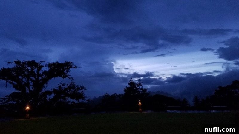 Dramatic storm clouds gathering over a dense canopy of trees in the cloud forest, hinting at the powerful weather conditions.