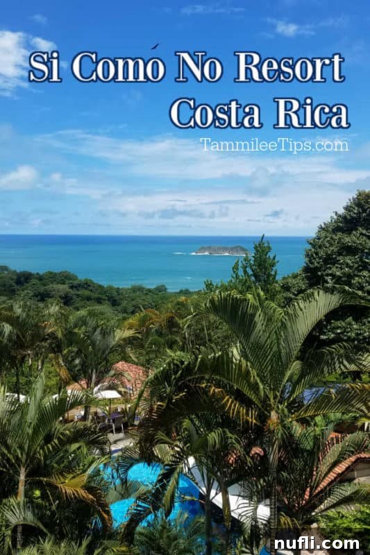Si Como No Resort Costa Rica Video Tour 2 Si Como No Resort Costa Rica over palm trees looking out to the ocean