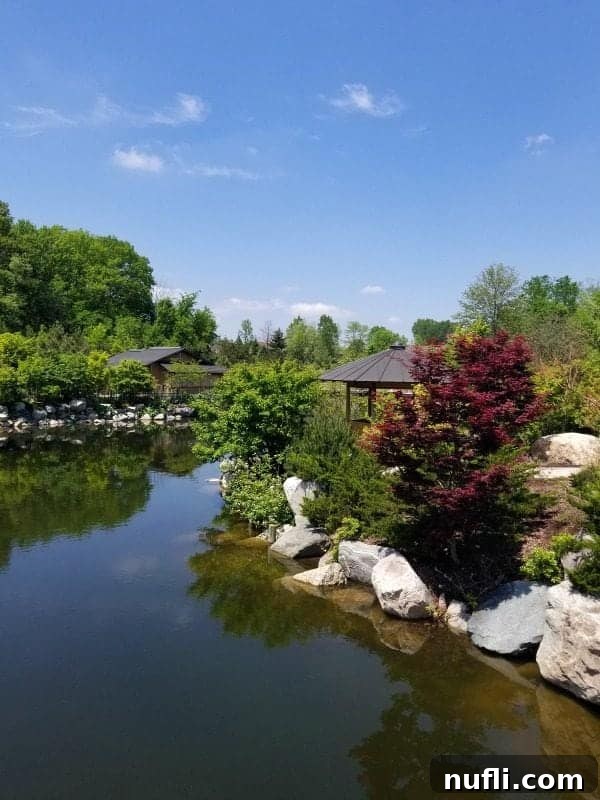 Serene Japanese gardens with a pond on a sunny day
