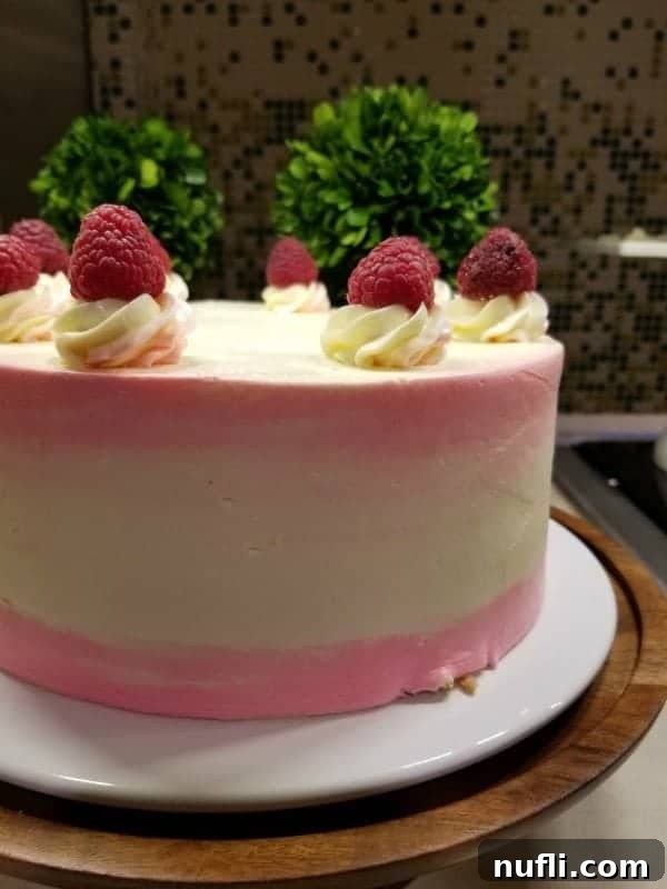 A beautifully decorated cake with fresh raspberries on top, showcasing the enticing dessert options available at the Carnival Horizon buffet.