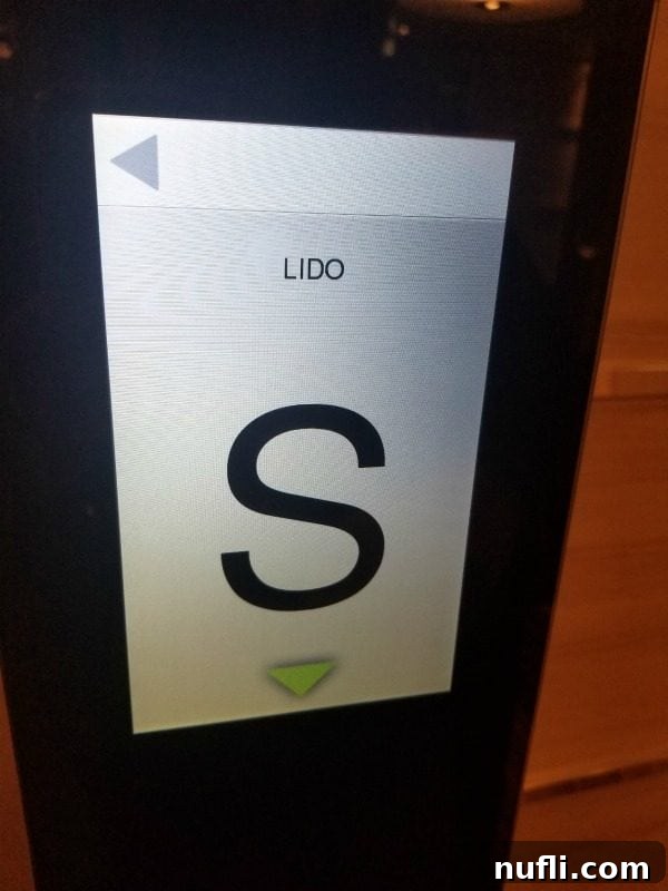 Close-up of a Carnival Horizon elevator sign clearly indicating 'Lido Deck' as a destination, part of the new system.