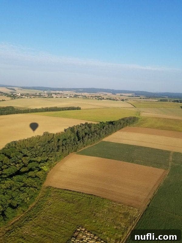 Hot air balloon reflection on farm fields 