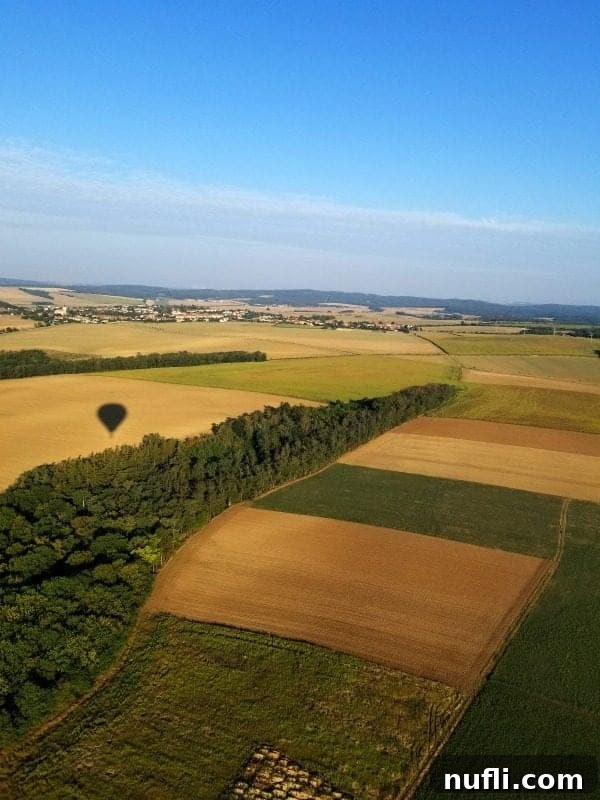 The distinct shadow of the hot air balloon gracefully cast upon the patchwork of farm fields just outside of Brno, Czech Republic.