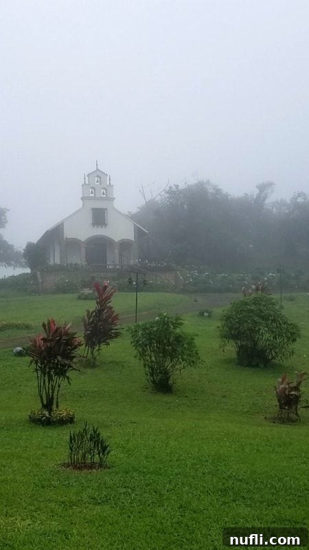 foggy day with views of a church and tropical plants 
