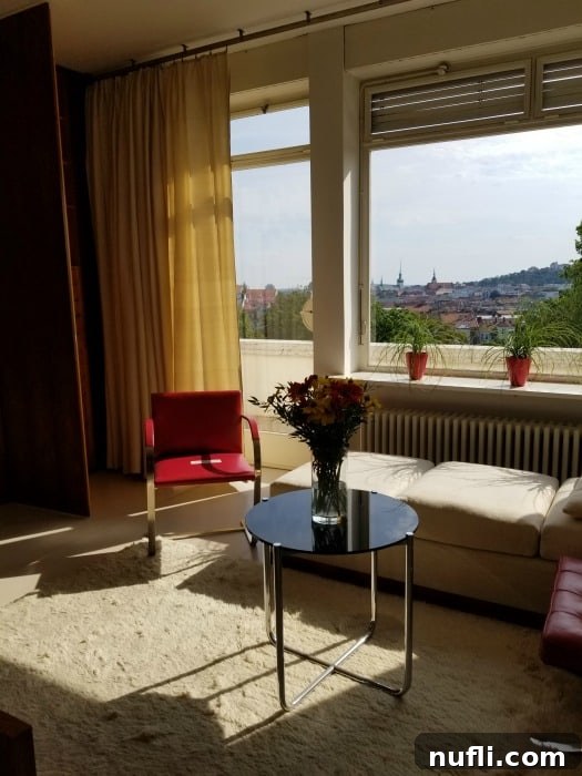 Villa Tugendhat Brnos Modernist Marvel 11 table, couch, and red chair in Villa Tugendhat