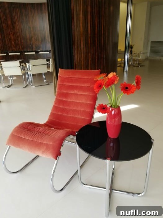 Villa Tugendhat Brnos Modernist Marvel 9 Red chair next to a black table with red vase and flowers in Villa Tugendhat