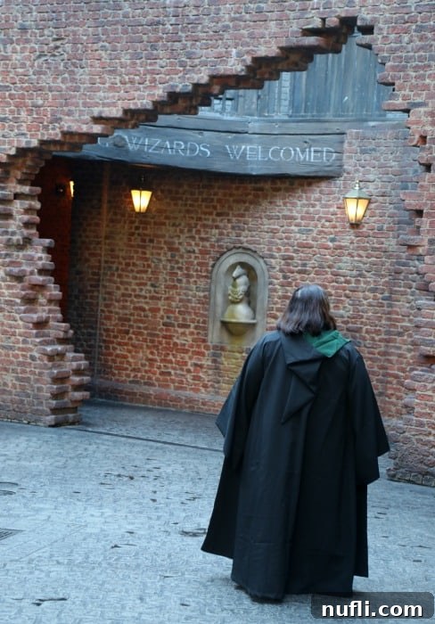 Tammilee wearing a Slytherin Cape in Diagon Alley 