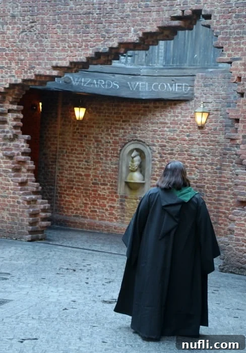 Tammilee wearing a Slytherin Cape in Diagon Alley