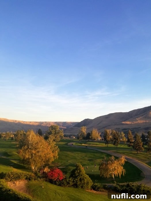 Overlooking a scenic golf course with lush trees and rolling brown hills in the distance near Lake Chelan