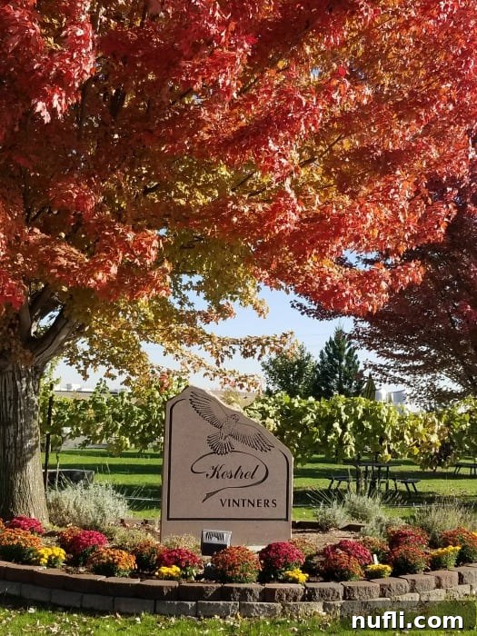 Fall leaves over kestral Vitners sign 