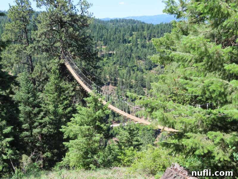 Long wooden hanging bridge between treets