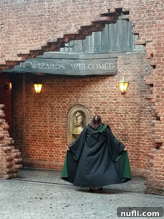 A person wearing an authentic Slytherin wizard robe under a 'Wizards Welcome' sign in Diagon Alley, capturing the immersive experience of the Wizarding World.
