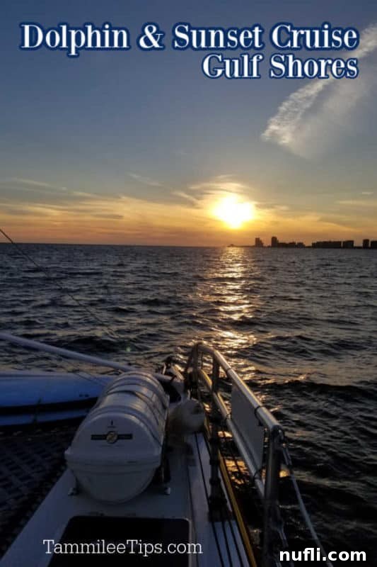 Dolphin and Sunset cruise over the sunset on the gulf of mexico