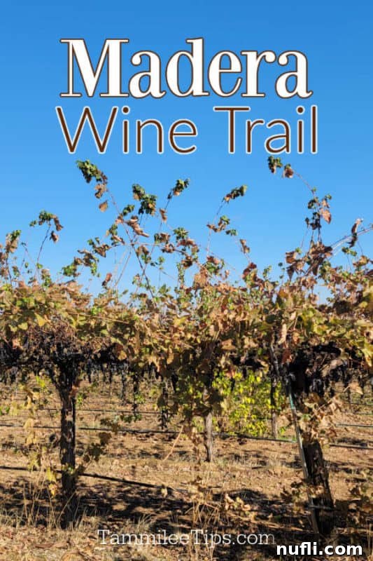 Madera Wine Trail text over a row of grape vines, inviting visitors to explore the wineries.