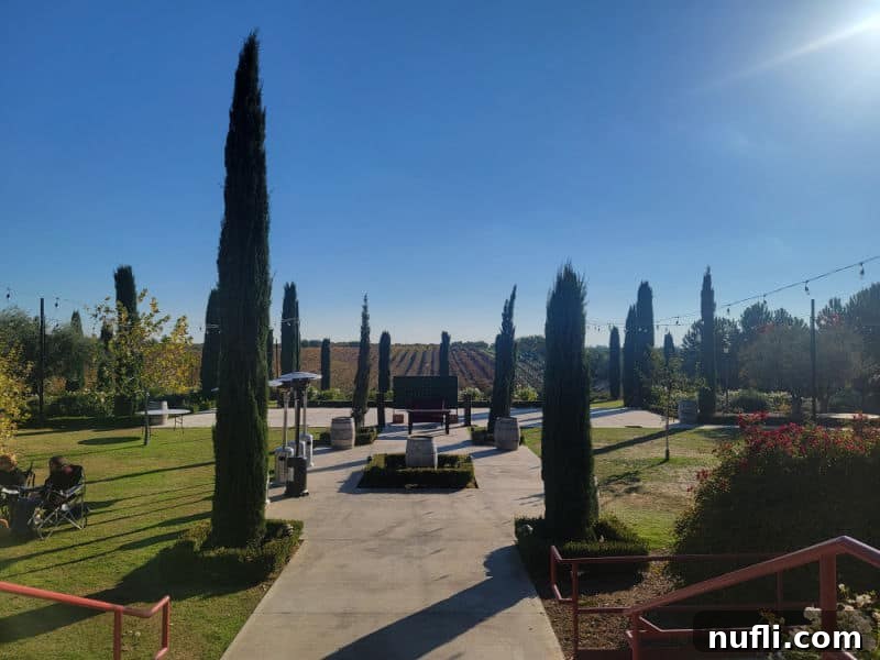 Toca Madera Winery grounds, featuring meticulously arranged rows of bushes and lush wine grapes in the background.