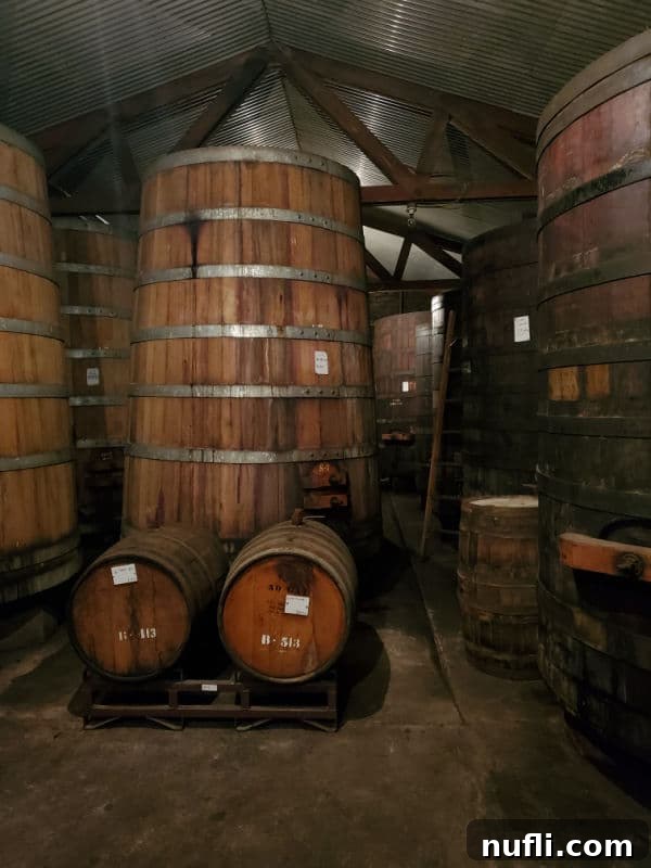 Large, historic wine barrels inside Ficklin Vineyards' atmospheric cellar, highlighting their traditional aging process.
