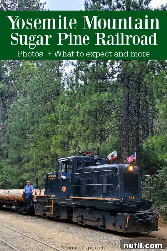 Historic Yosemite Mountain Sugar Pine Railroad steam engine pulling a log car with passengers