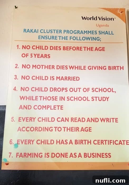 world vision rakai cluster poster