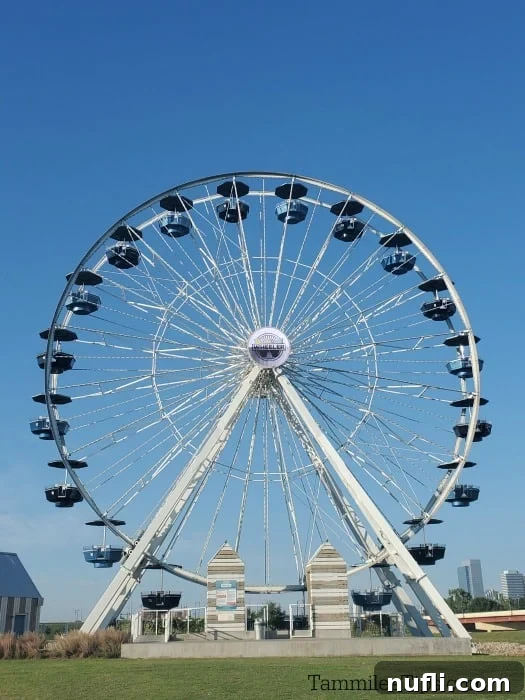 Ferris wheel with city skyscape in the background