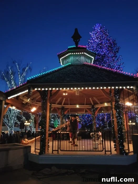 Gazebo covered in holiday lights with musicians playing traditional alphorns in Leavenworth