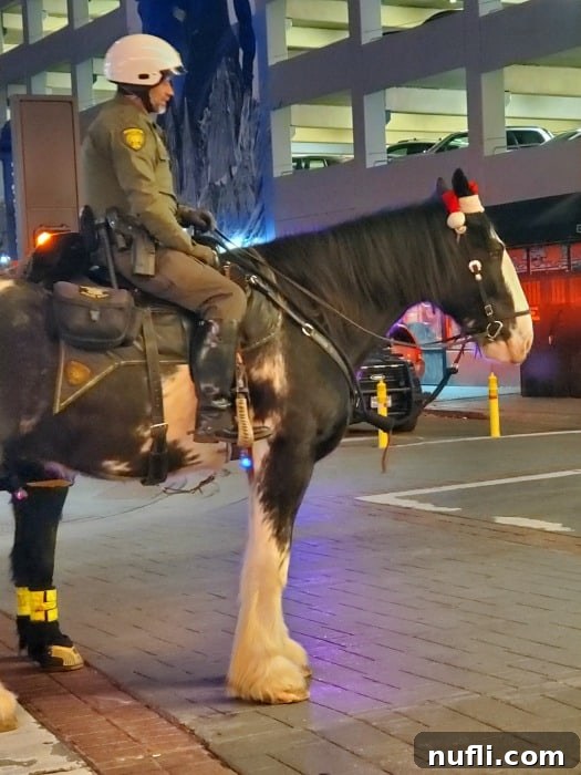 A police horse adorned with a Santa hat, accompanied by an officer, maintaining a friendly and safe presence at the Reno Santa Crawl.