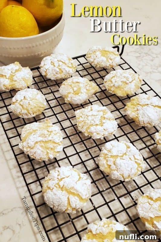 Lemon butter cookies over a tray of cookies dusted in powdered sugar, ready to be enjoyed.