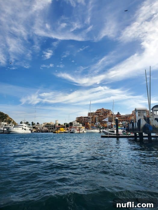 Ultimate Mexico Cruise Packing Guide 3 Cabo san lucas seen from the water with boats in the marina