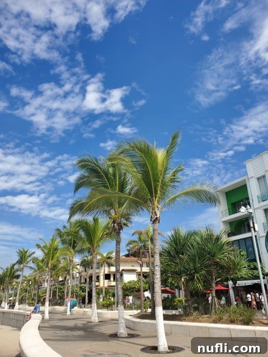 Puerto Vallarta malecon walkway with palm trees and buildings