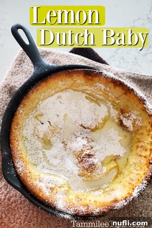 Lemon Dutch Baby covered in powdered sugar in a cast iron skillet, set on a kitchen towel with fresh lemons