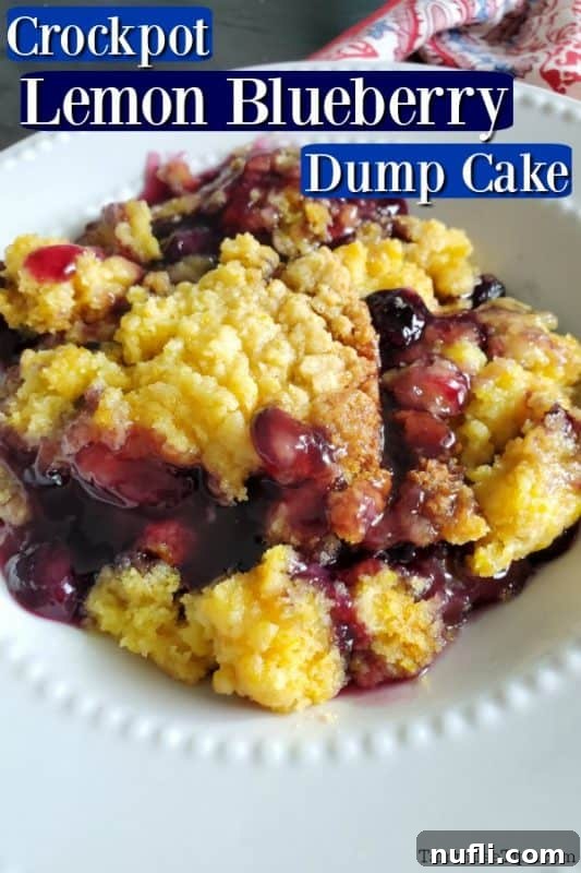 Crockpot Lemon Blueberry Dump Cake served warm in a white bowl with a golden crumble topping