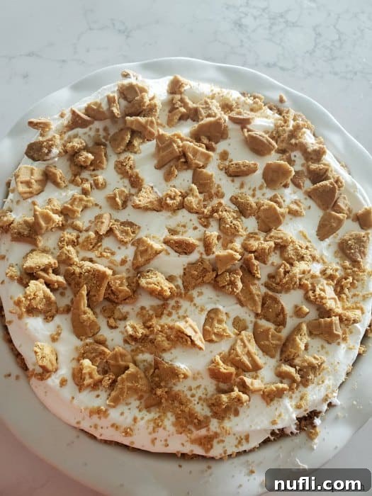 Crumbled Nutter Butter cookies sprinkled over the whipped topping in a pie pan, adding a final decorative and flavorful layer.