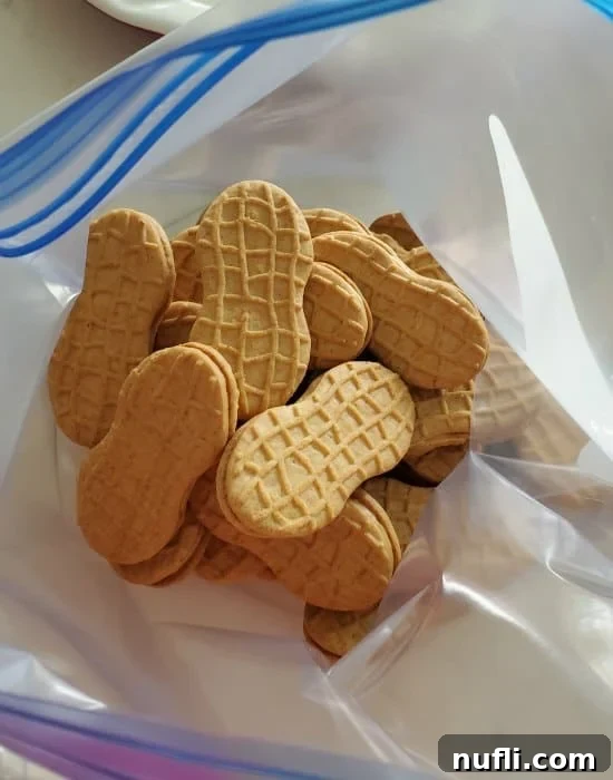 Nutter Butter cookies sealed in a clear plastic bag, ready to be crushed for the crust.