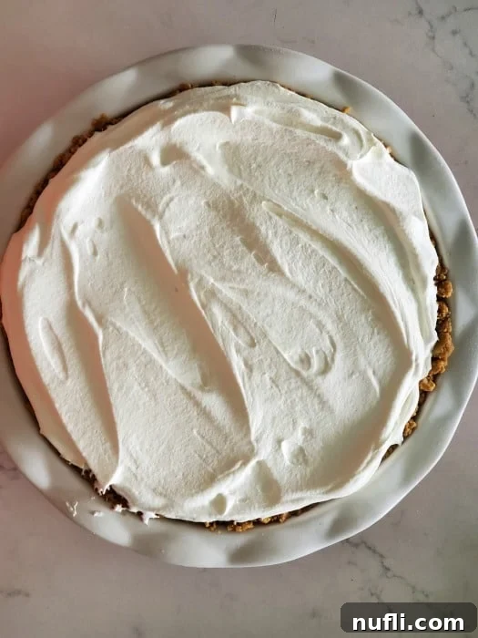 A generous layer of whipped topping spread over the set vanilla pudding in the pie dish, creating a fluffy white top.