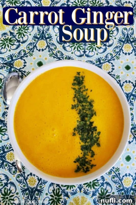 Vibrant orange carrot ginger soup with a fresh green garnish in a white bowl, resting on a colorful patterned cloth
