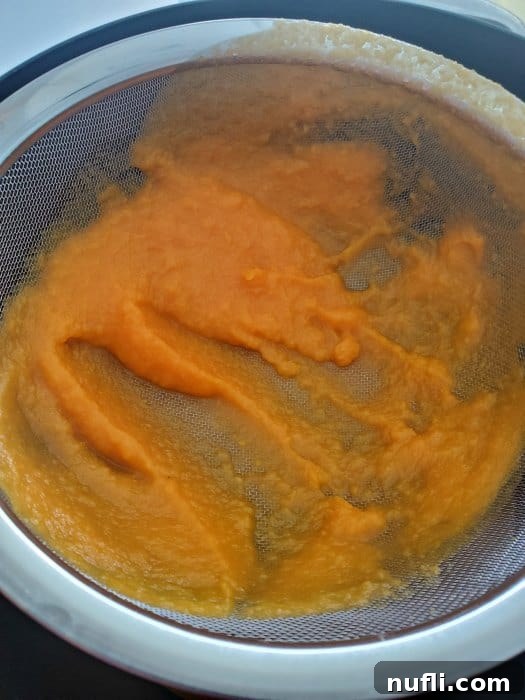 Vibrant orange carrot puree being pressed through a fine mesh strainer